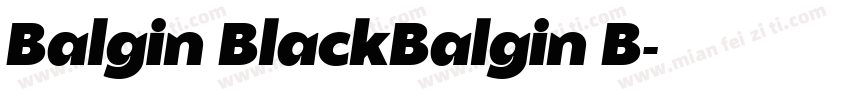 Balgin BlackBalgin B字体转换